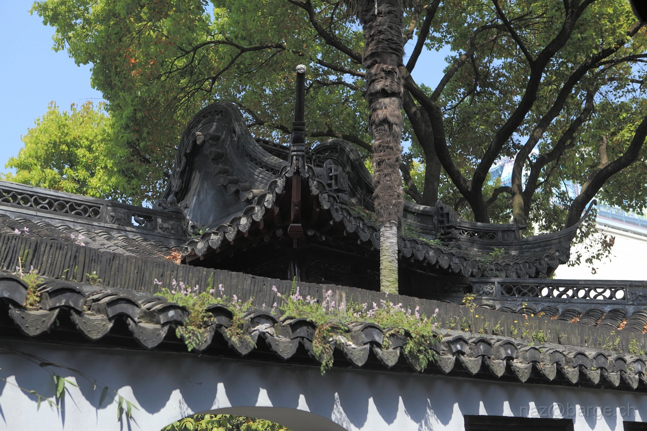 EOS 5D Mark II15_04_20134770.JPG